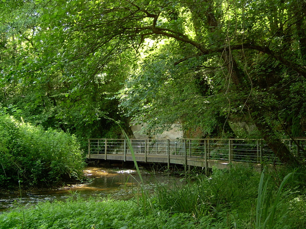 Le site de Bernachon, côté nature