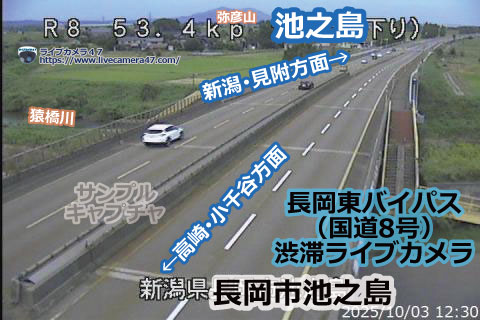 長岡東バイパスの渋滞ライブカメラ「池之島」の平常時のサンプル画像
