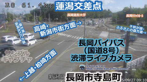 長岡バイパスの渋滞ライブカメラ「蓮潟交差点」の平常時のサンプル画像
