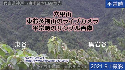 兵庫県の山ライブカメラ｢六甲山 東お多福山｣の平常時のサンプル画像