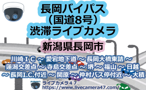 長岡バイパス(国道8号)渋滞ライブカメラ