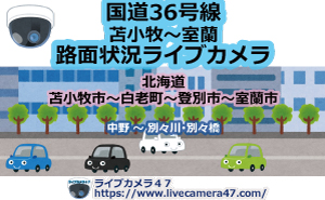 国道36号線(苫小牧～室蘭)路面状況ライブカメラ