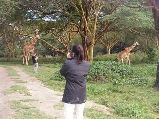 Safaris in die Massai Mara