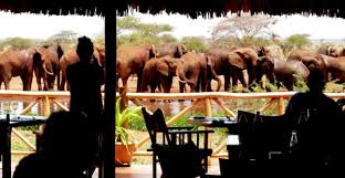 Tsavo East Ngutuni Lodge