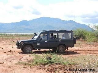 Safaris in Kenia im Jeep oder Safaribus, wo ist der Unterschied