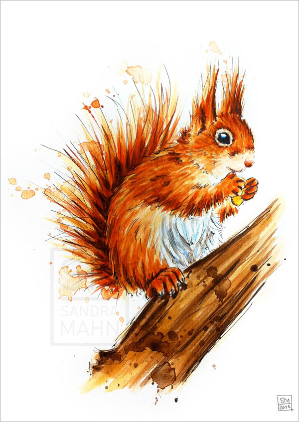 Eichhörnchen (verkauft) | red squirrel (sold)