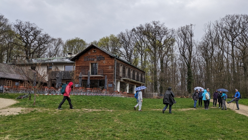 zügige Rückwanderung