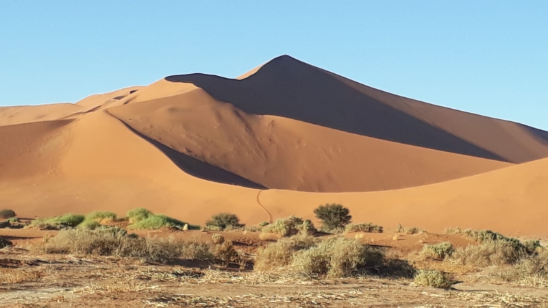 19.08.2019 Namibia
