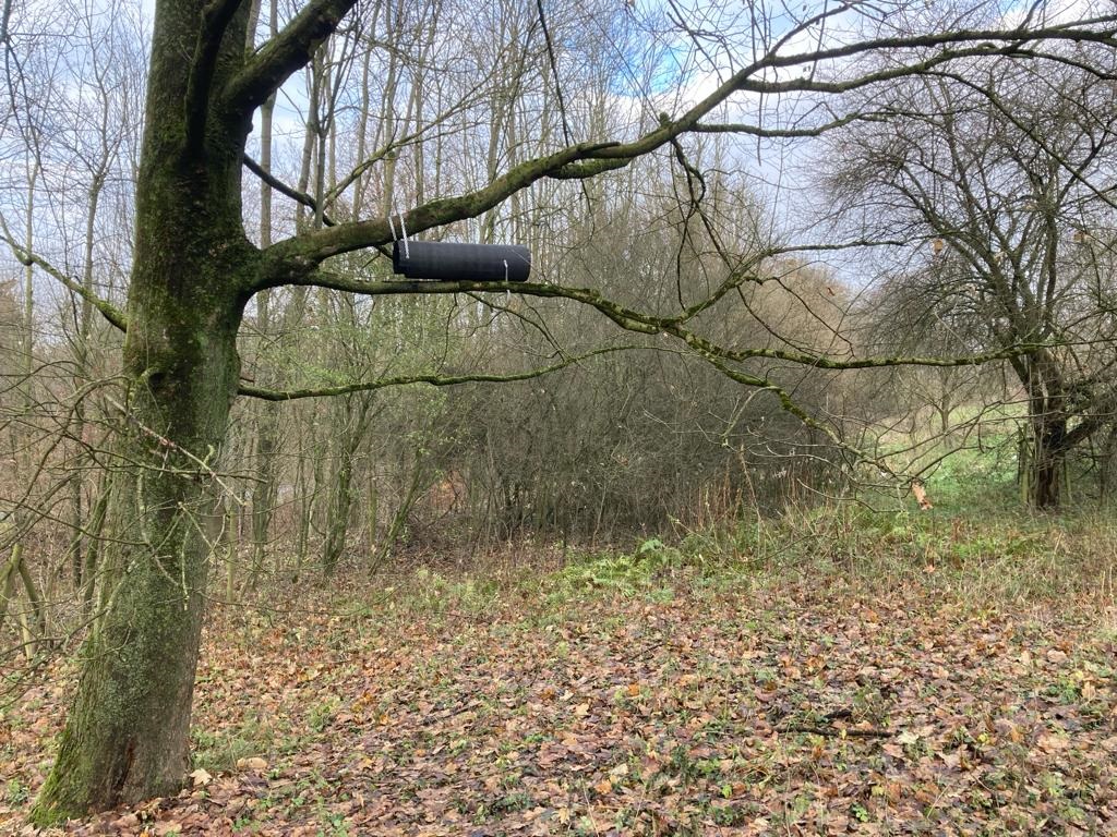 Steinkauz-Niströhre in Steinbergen (Foto: B. Wünsche)