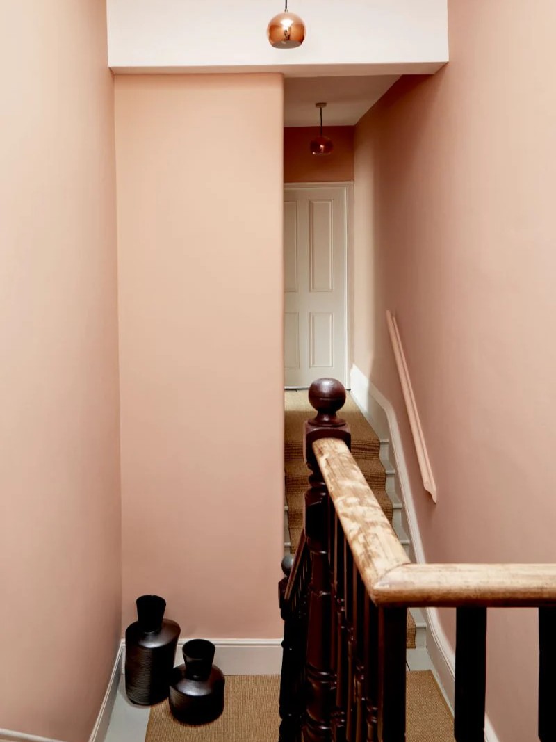 Peach Flesh Pink