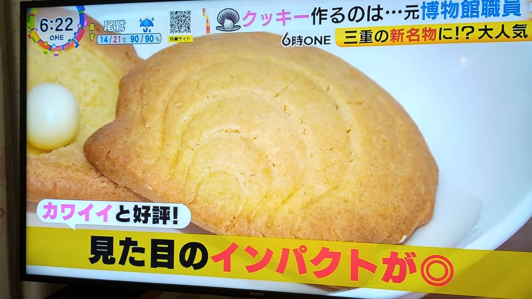 東海テレビ様　ニュースONE　密着取材放送
