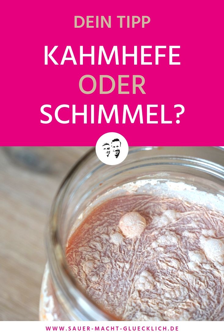 Kahmhefe Warum du keine Angst vor dem weißen Belag auf deinem Ferment haben musst SAUER MACHT