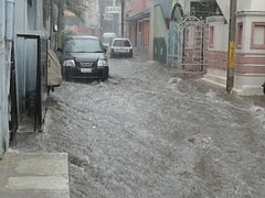 Wasserschaeden