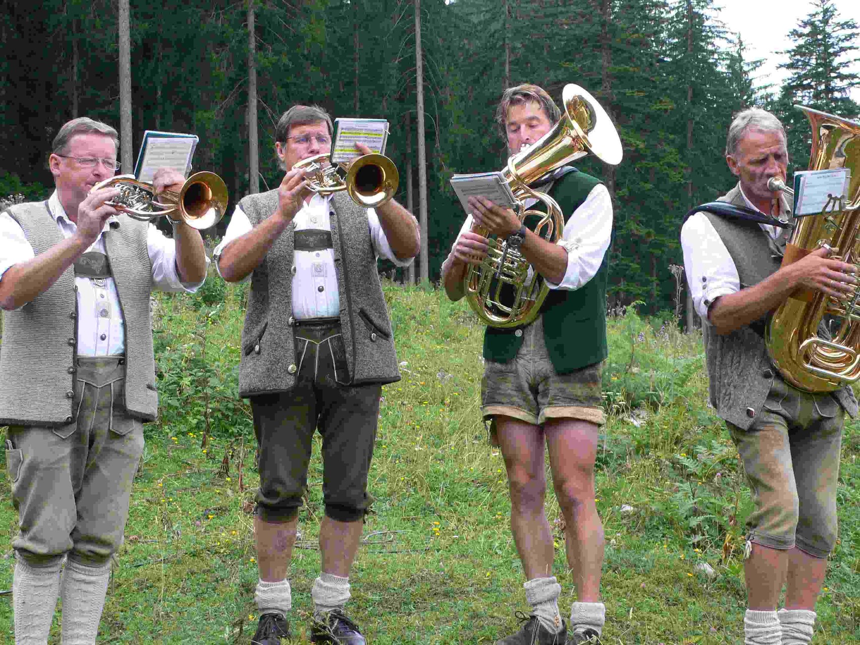 Almfest der FF Gams in Gams bei Hieflau 29.07.2006