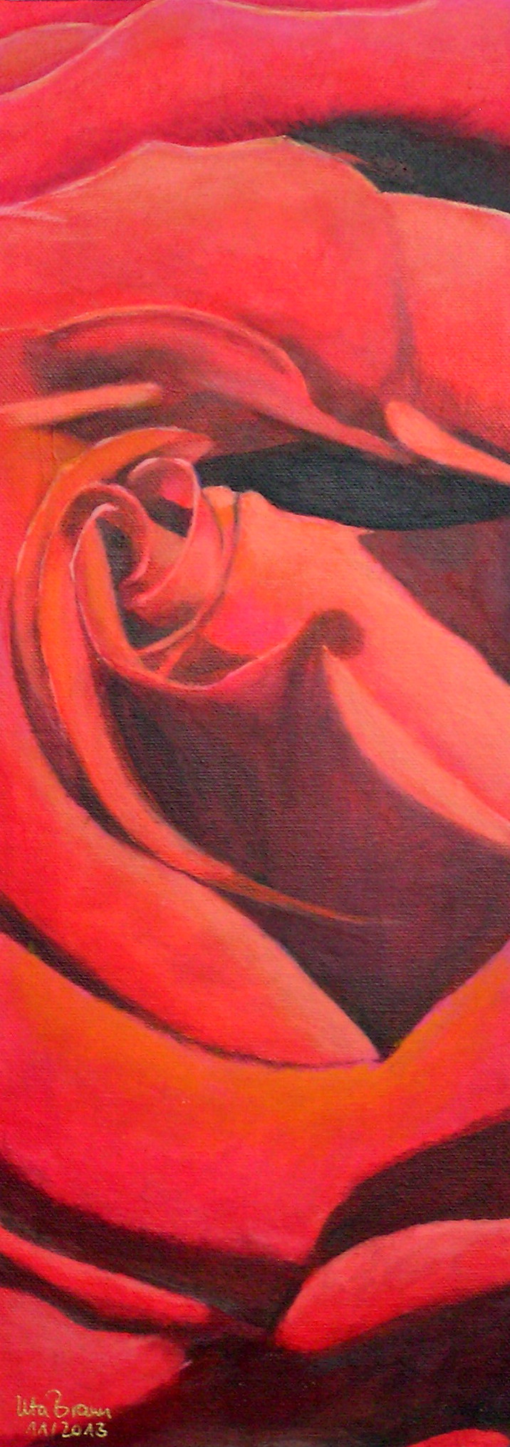 Blütenstruktur rot- Rose(20 x 50)