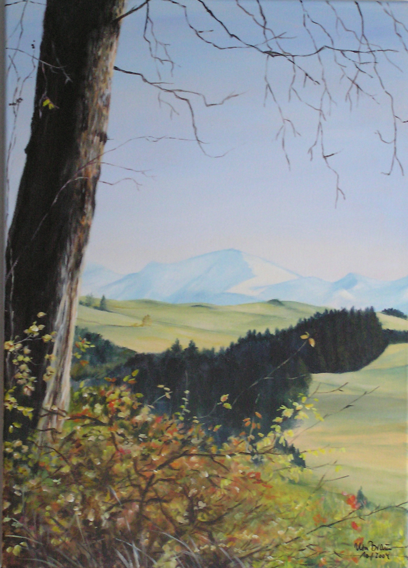Spätherbst bei Scheidegg (50 x 70)