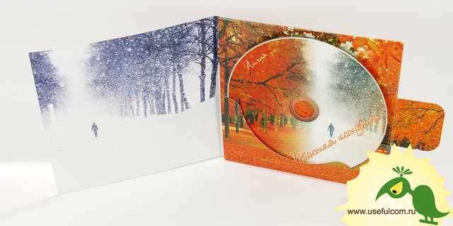 № 178 – Диджифайл (DigiFile) CD формат