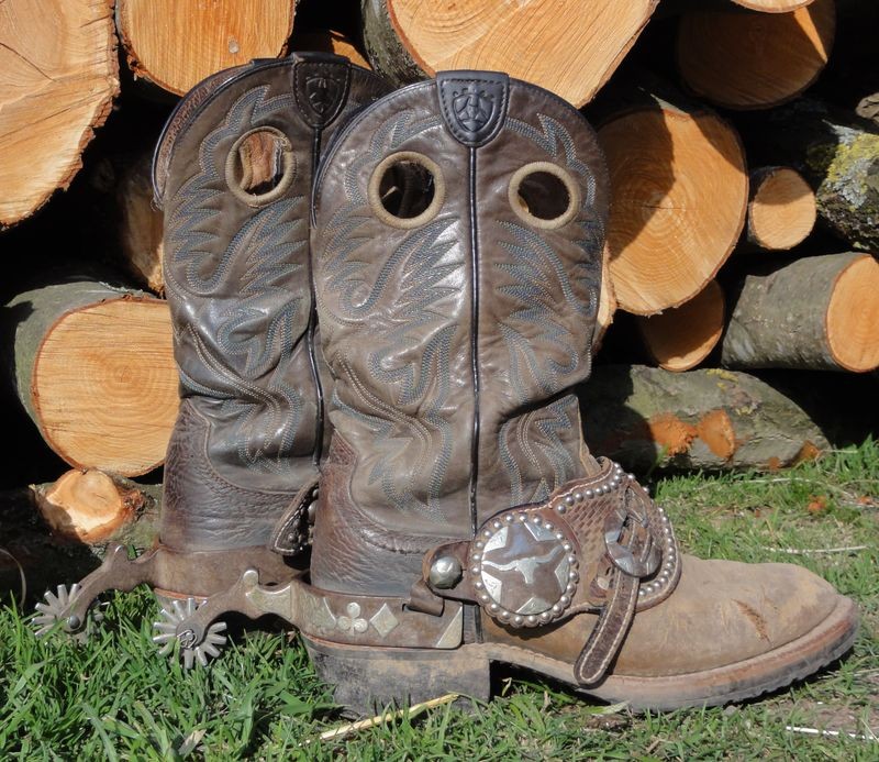 Spin'in X Ranch Westernreitstall Ebern spinin x ranch