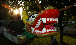 Drachenboot-Kurs
