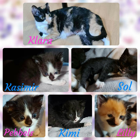 Klara`s Familie
