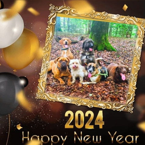 Happy New Year