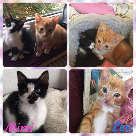 Mimi und Leo