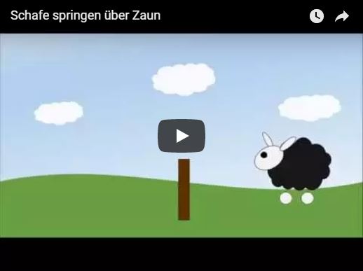 Schafe springen über den Zaun