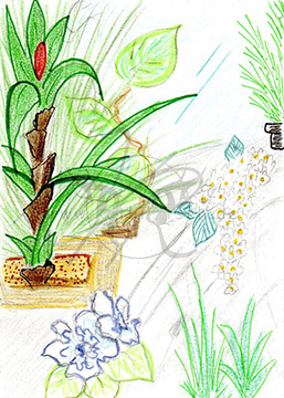 #088 Fensterbank
