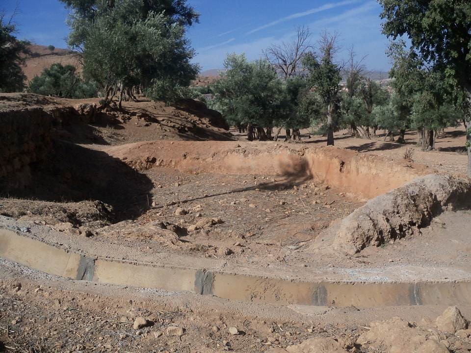 Sahrij dradaj
