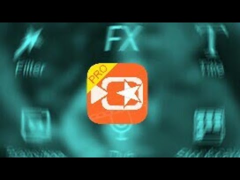 VIVAVIDEO PRO