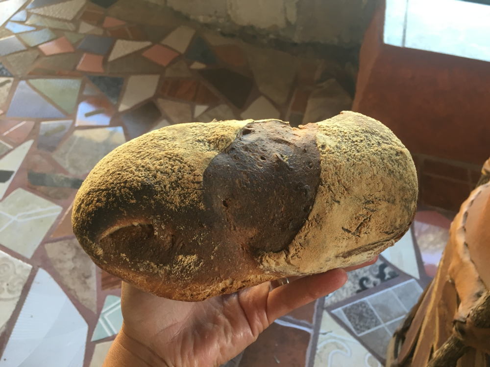Frisches Brot aus der Backstube