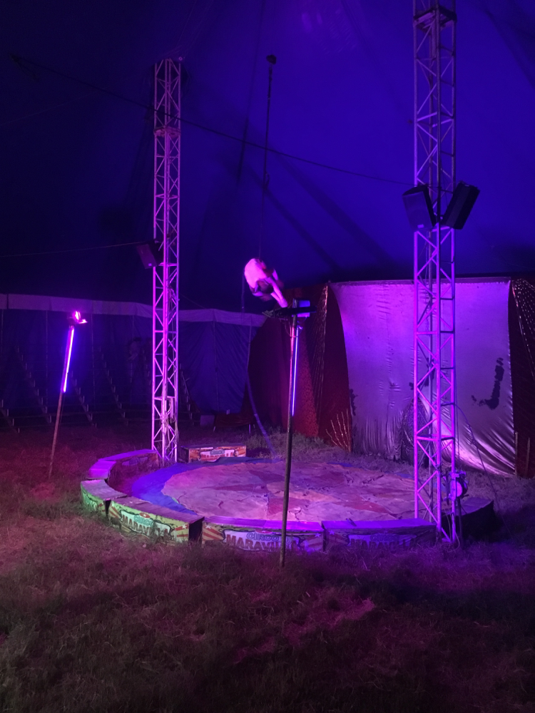 Manege frei für die Akrobaten