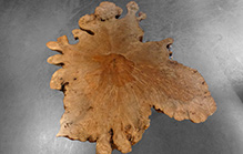 T0168 · American Maple Burl · Jörg Pietschmann