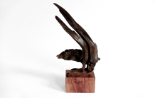 Jörg Pietschmann · S1417 · Thuja, Red Olive, sculpture, bowl, woodworking, interiordesign, woodsculptures, art, woodart, wooddesign, decorativewood, originalartwork, modernwoodsculpture, joerg pietschmann, oldwood