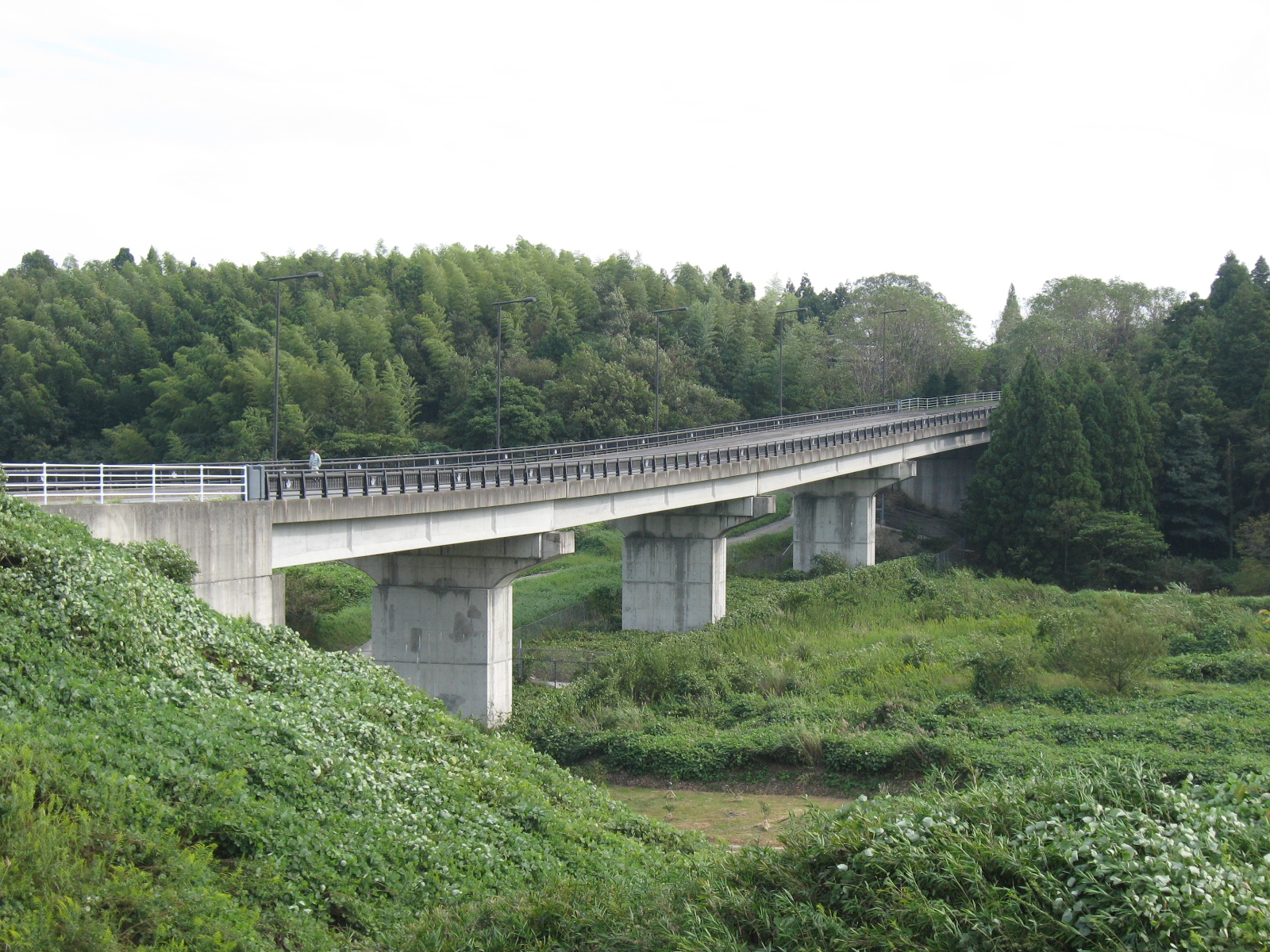 高飛大橋　詳細設計（亀山市）