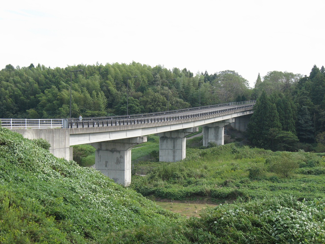 高飛大橋　詳細設計