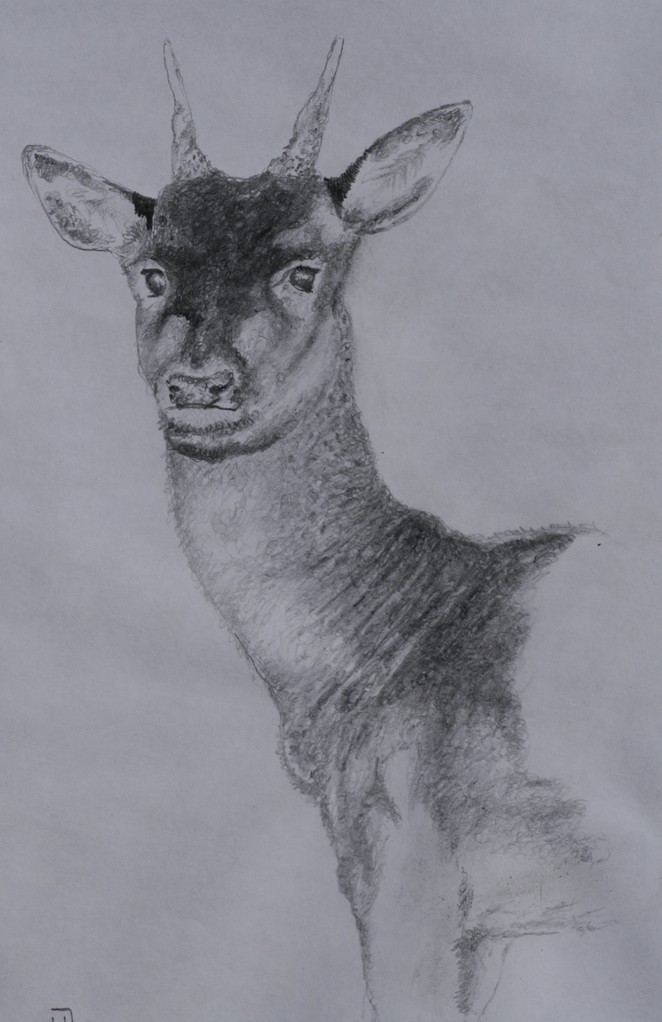 "Damspießer" 2010