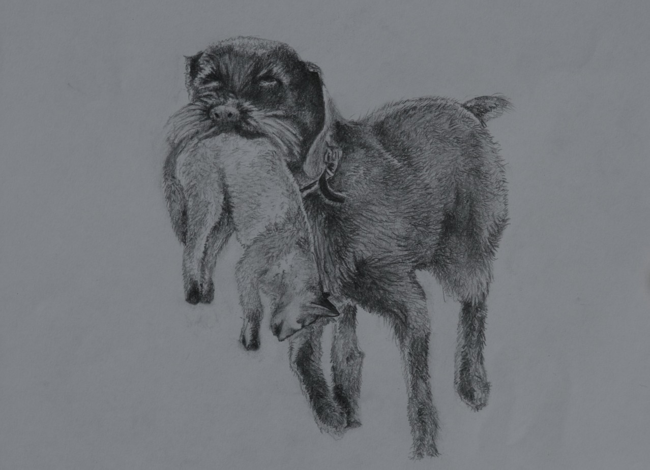 "Quincy mit Fuchs" 2011
