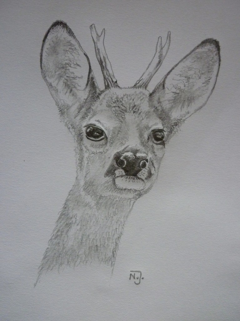 "Jährling" 2012