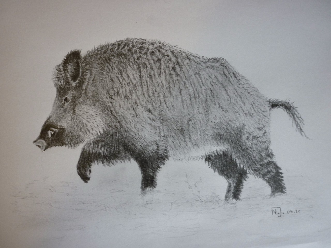 "Keiler"  2012