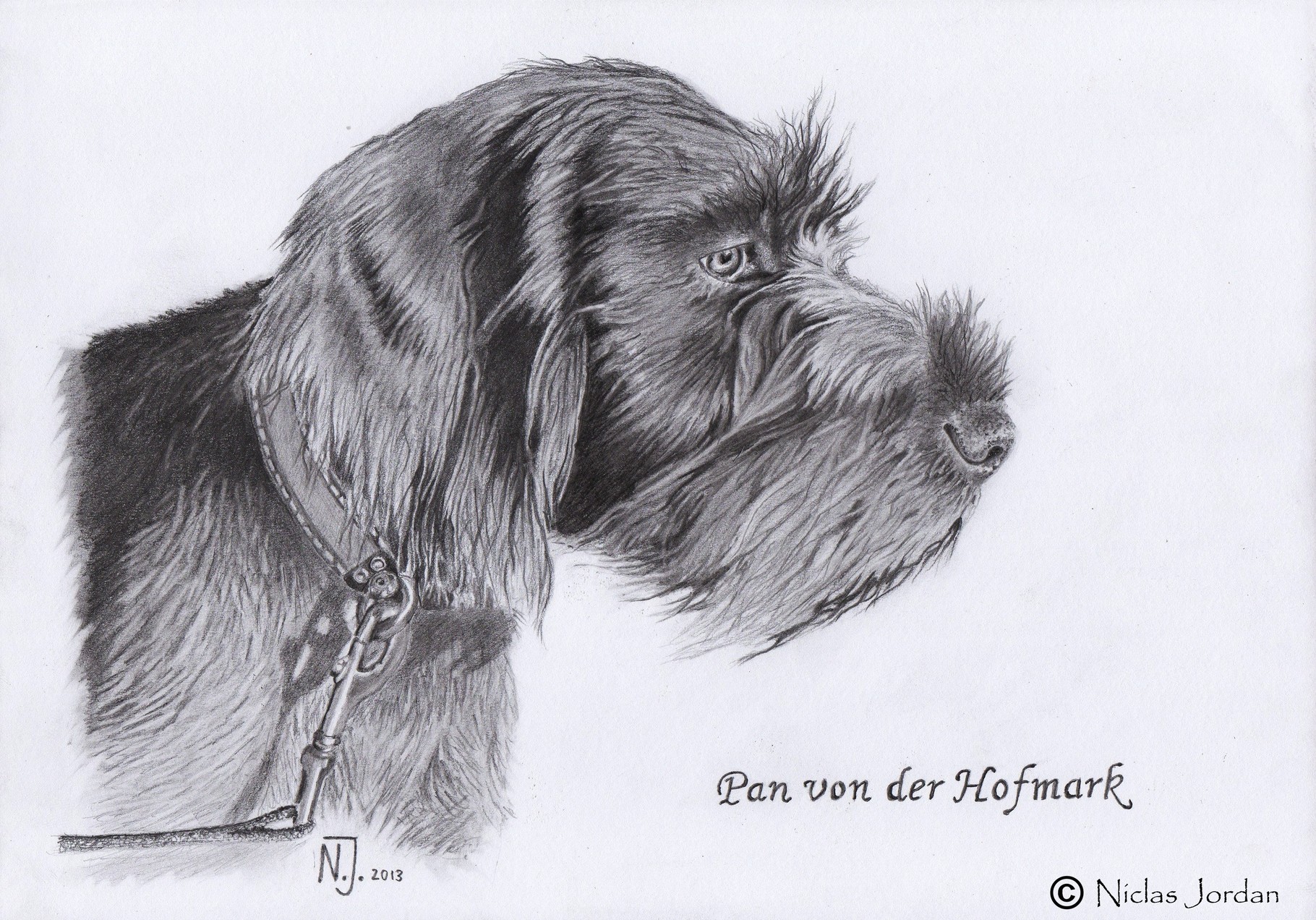 DD-Welpe "Pan von der Hofmark" 2013