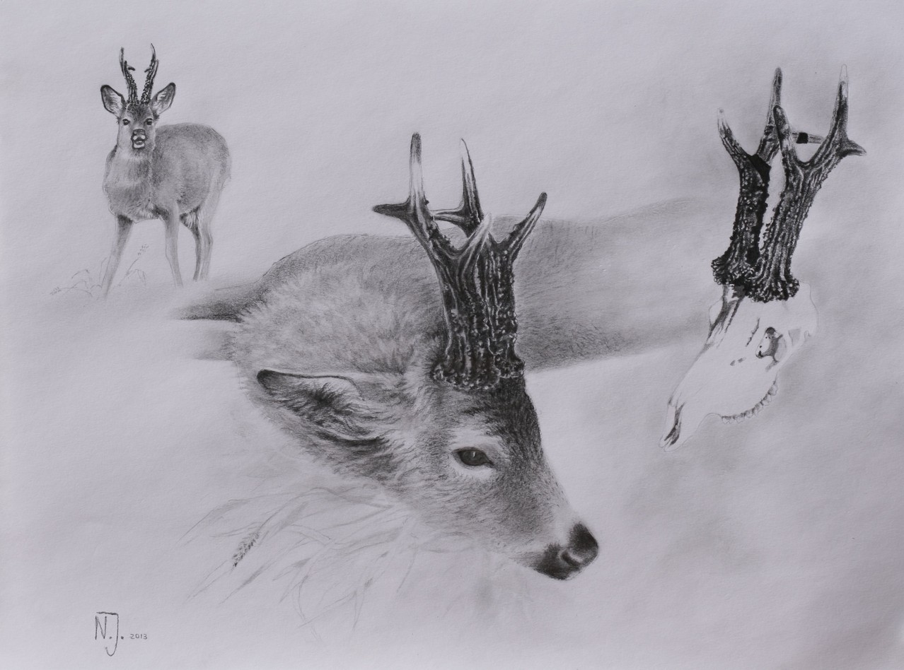 "Lebensbock"  2013
