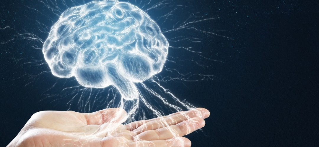 De Nervus Vagus: De Superzenuw van Rust en Herstel