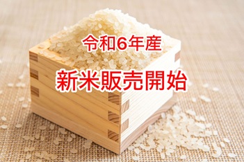 令和６年産新米販売中
