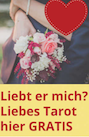 Der Wahrsager sagt dir, wen wirst du heiraten.