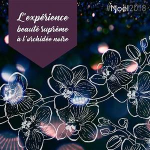 Institut orchidée bulle Institut orchidée bulle