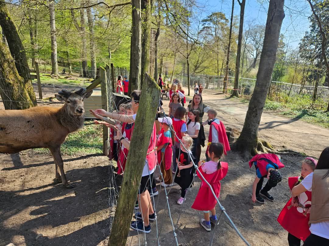 Ritterliches Abenteuer für Kinder in der Fasanerie Wiesbaden