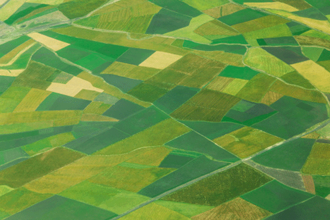 polder