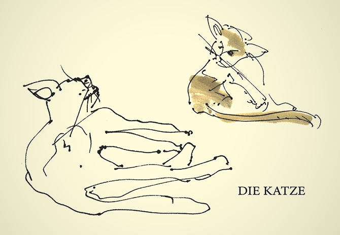 postkarte „die katze“