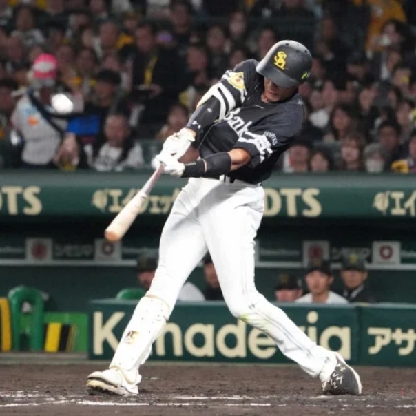 セルロースファイバーの調湿力（柳田悠岐選手おめでとう）　恋は魔法♪